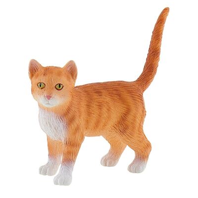 Figurina animale gatto American Shorthair Francis