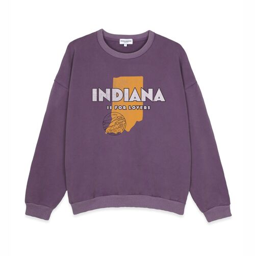 Purple washed French Disorder Brady Indiana sweaters for men