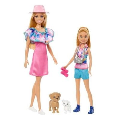 Mattel - Ref: HRM09 - Barbie Doll Box with Little Sister Stacie and 2 Puppies, Summer Clothes and Accessories, Blonde Hair and Blue Eyes, Children's Toy, From 3 Years