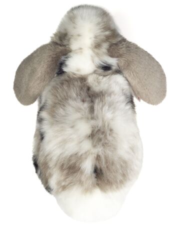 Bélier lapin gris et blanc tacheté 23 cm - peluche - peluche 3