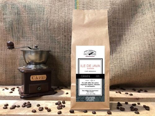 ILE DE JAVA BUNISORA CAFÉ GRAIN - 250g