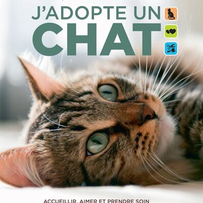 J'adopte un chat