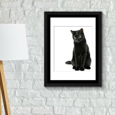 Walplus Framed Art Black Cat thinking Poster DIY Self-adhesive Home Decorations