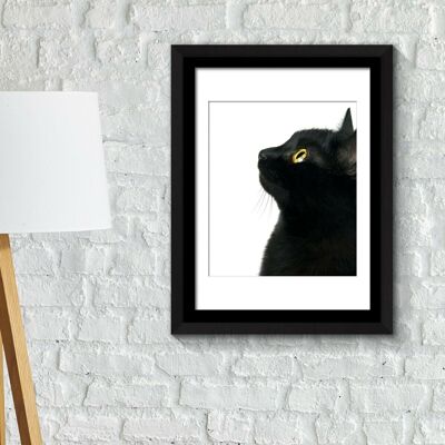 Walplus Framed Art Poster -Black Cat Focus Poster Self-adhesive Home Decorations