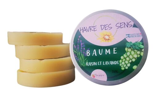 BAUME RAISIN & LAVANDE 30g