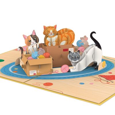 Cute Cats Pop-Up Card
