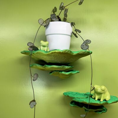 Floating mushroom wall shelf: humpback tramete mushroom in bright colors