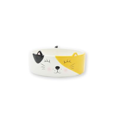 Ceramic cat food bowl