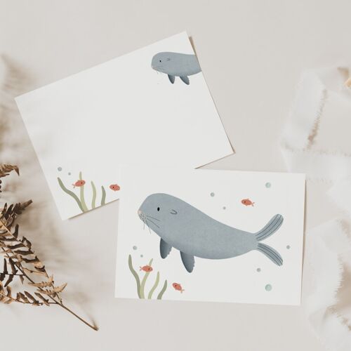 Postkarte Robbe - Meerestiere Seehund Kinderkarte Geburtstagsgrüße
