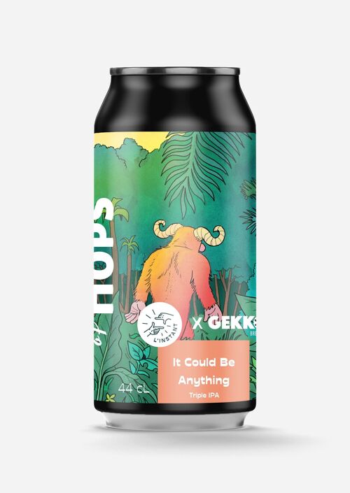 It Could Be Anything collab L'instant TIPA/9% alc