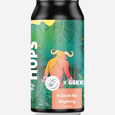 It Could Be Anything collab L'instant TIPA/9% alc