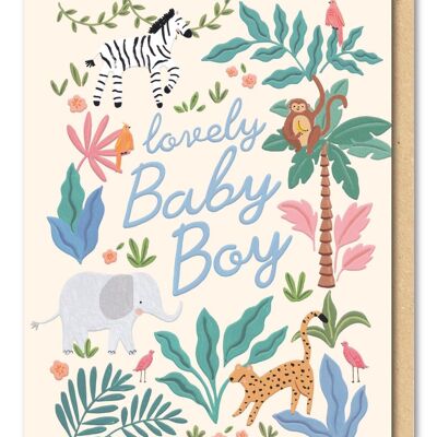 Lovely Baby Boy Card