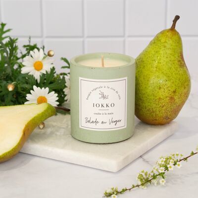 Natural Scented Candle, Orchard Stroll, Plain Water Green Concrete