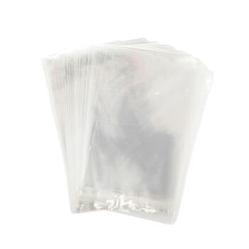 Crafter's Companion - Self Seal Cello Bags - A5 50pc 2