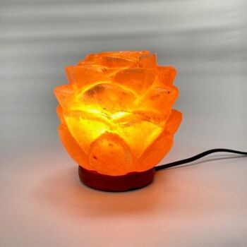 Fleur de lampe à sel de l’Himalaya fabriquée (petite) 1