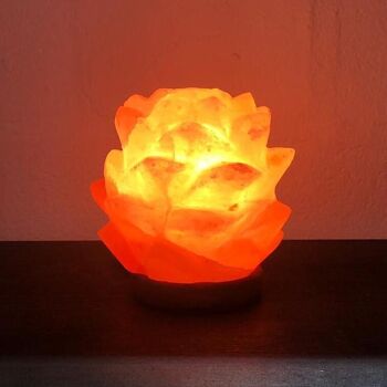 Fleur de lampe à sel de l’Himalaya fabriquée (petite) 2