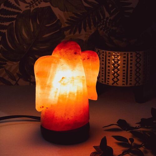 Crafted Himalayan Salt Lamp Angel (Small)