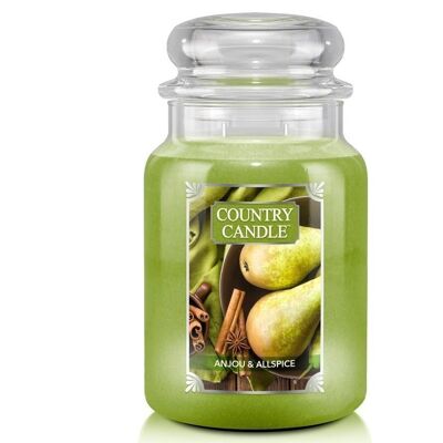 Anjou & Allspice Large scented candle