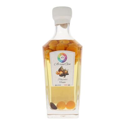 Ginebra arreglada - Arran'Gin - Physalis - Tonka