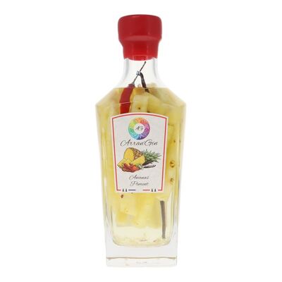 Gin Arrangiato - Arran'Gin - Ananas - Peperoncino