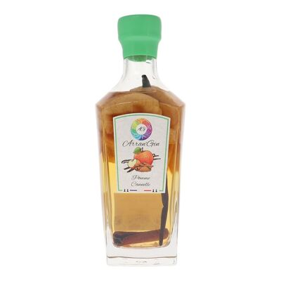 Ginebra Arreglada - Arran'Gin - Manzana - Canela