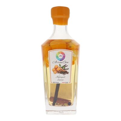 Gin organizzato - Arran'Gin - Kumquat-Spezie