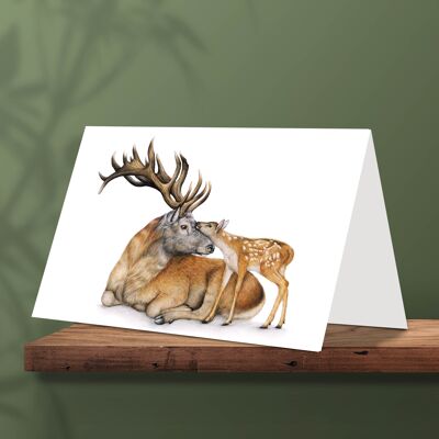 Red Deer, Greeting Card, 17,5 x 12,3 cm, Animal Cards, Fathersday Card