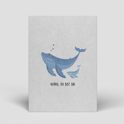 Postcard - Birth - Whale Family - No.88