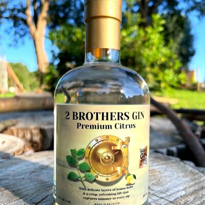 Ginebra premium 2 Brothers Citrus, elaborada tradicionalmente en Bélgica y medalla de bronce en los World Gin Awards 2025