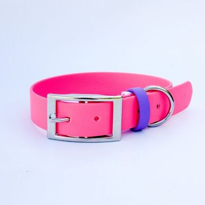 Biothane dog collar - Pithaya