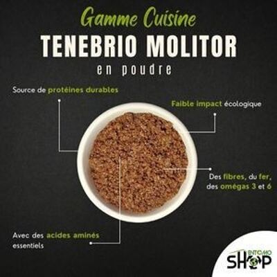 Tenebrio Molitor polvere – 500 g