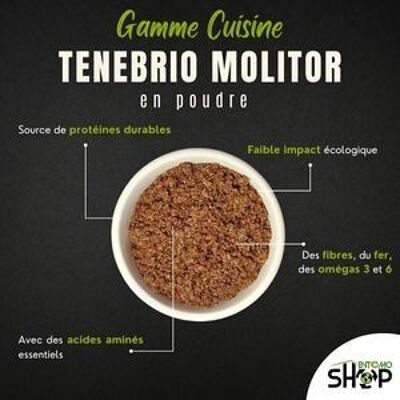 Tenebrio Molitor-Pulver – 500 g