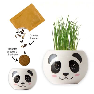 Mini kits de cerámica - 24 animales asiáticos