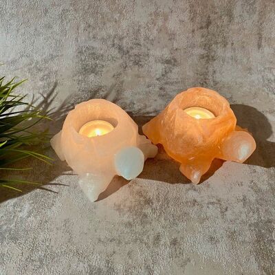 Turtle salt candle holder - pair (pink/white)