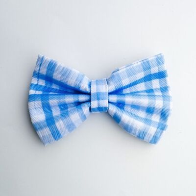 Dog bow tie - Blueberry