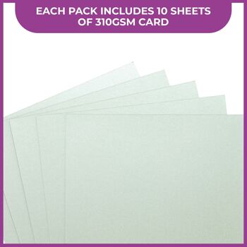 Crafter's Companion Centura Pearl Metallic A4 Lot de 10 feuilles monochromes Argent pâle 5