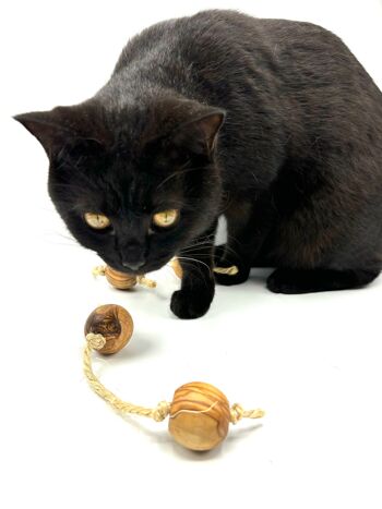 Balles de jeu en bois d'olivier avec sisal pour petits chiens ou chats 1