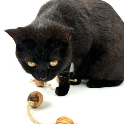 Balles de jeu en bois d'olivier avec sisal pour petits chiens ou chats