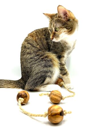 Balles de jeu en bois d'olivier avec sisal pour petits chiens ou chats 7