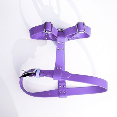 Biothane harness for dogs - Aubergine