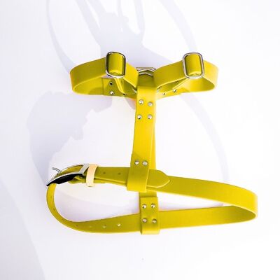 Biothane harness for dogs - Banana