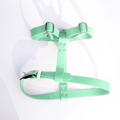 Biothane harness for dogs - Mint