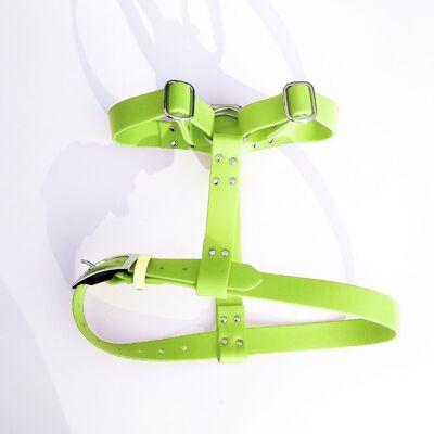 Biothane harness for dogs - Apple