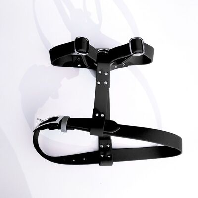 Biothane harness for dogs - Reglisse