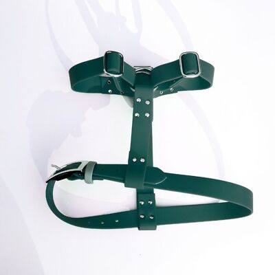Biothane harness for dogs - Fir