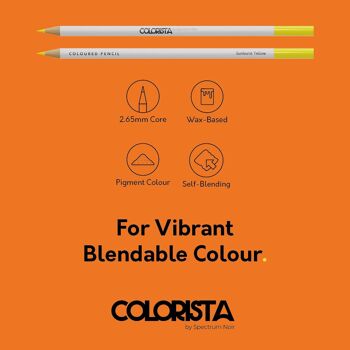 Colorista - Crayon de couleur - Lumineux et vif 12pc 6