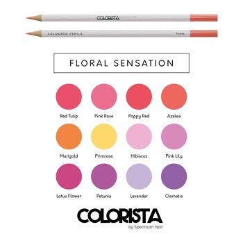 Colorista - Crayon de Couleur - Sensation Florale 12pc 3