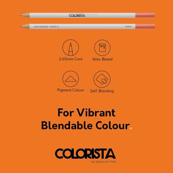 Colorista - Crayon de Couleur - Sensation Florale 12pc 6