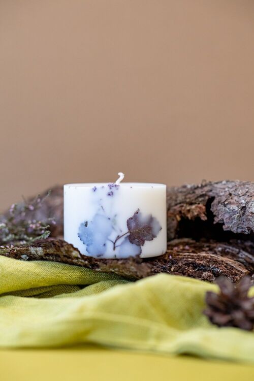 Soy Wax Candle with Forest Scent - White