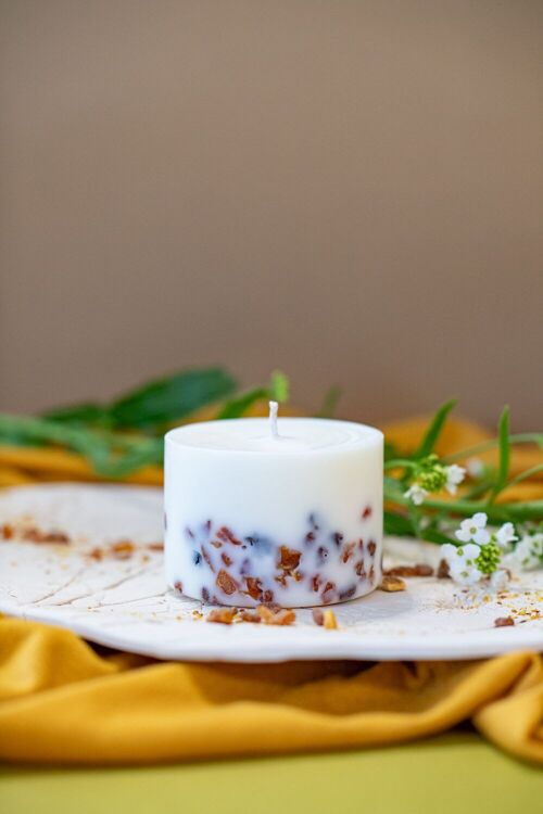 Soy Wax Candle with Pine Scent